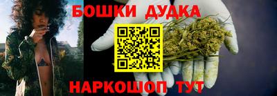 индика Будённовск