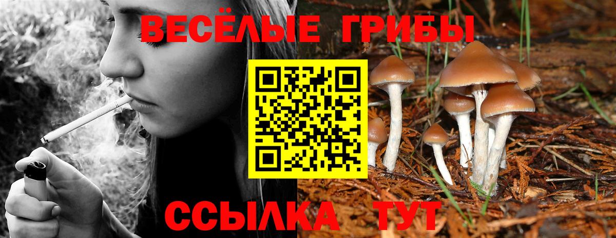 Галлюциногенные грибы мухоморы Алапаевск