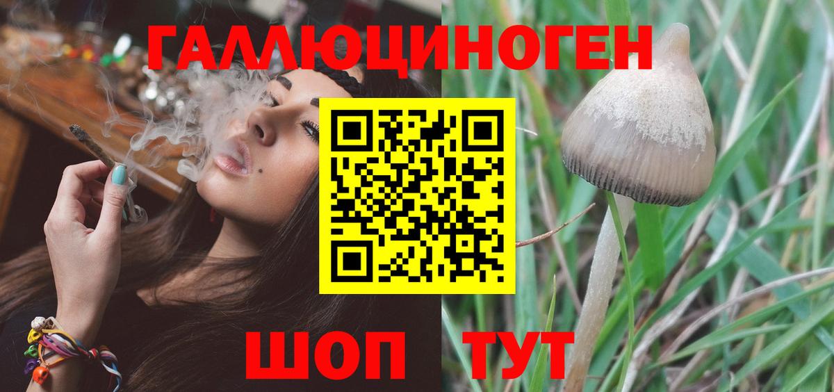 Алапаевск  Псилоцибиновые грибы MAGIC MUSHROOMS  Вход с VPN 